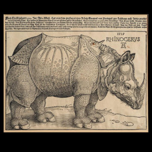 Dürer Rhinoceros