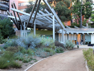 Garden Pavilion, Mildred E. Mathias Botanical Garden, UCLA.