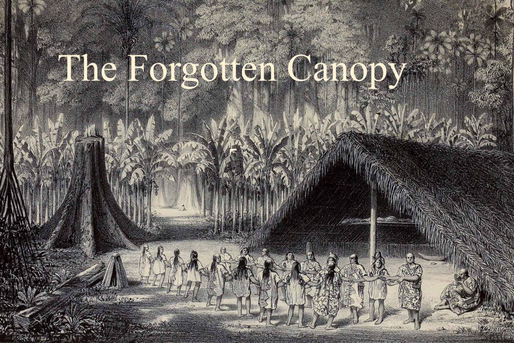 A black and white illustration of indigenous peoples in front of a thatch structure. The text "The Forgotten Canopy" is at the top in off-white. 
