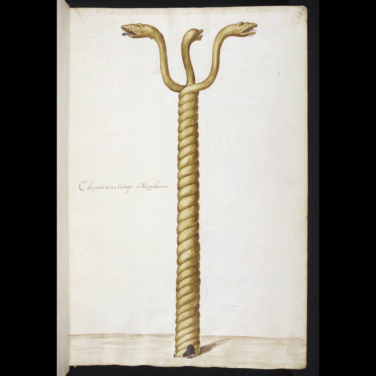 this is a picture of a drawing of a snake on a book