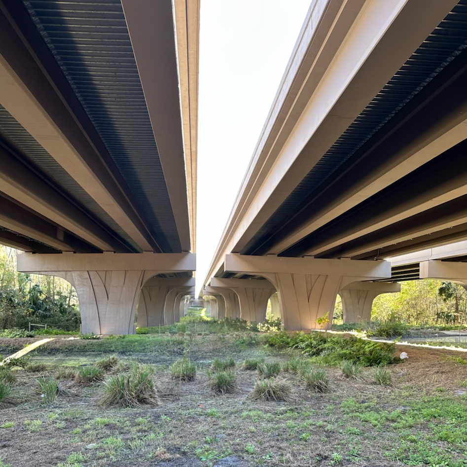 there are two bridges that are overpassed over a grassy area